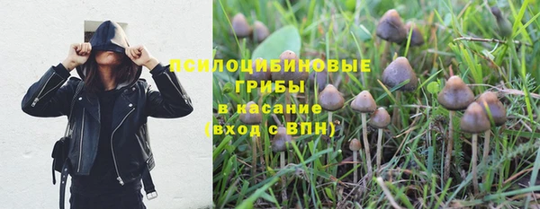 соль ск Корсаков
