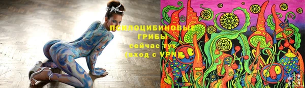 apvp Чердынь