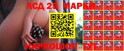 шишки Волгодонск