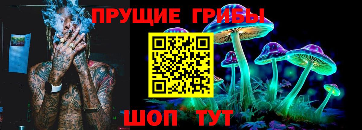 Галлюциногенные грибы Psilocybe  Вход с VPN  Копейск 